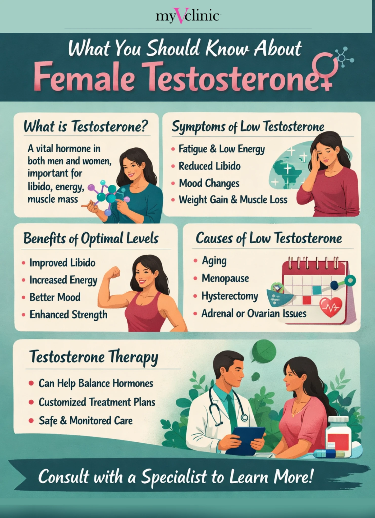 Female Testosterone